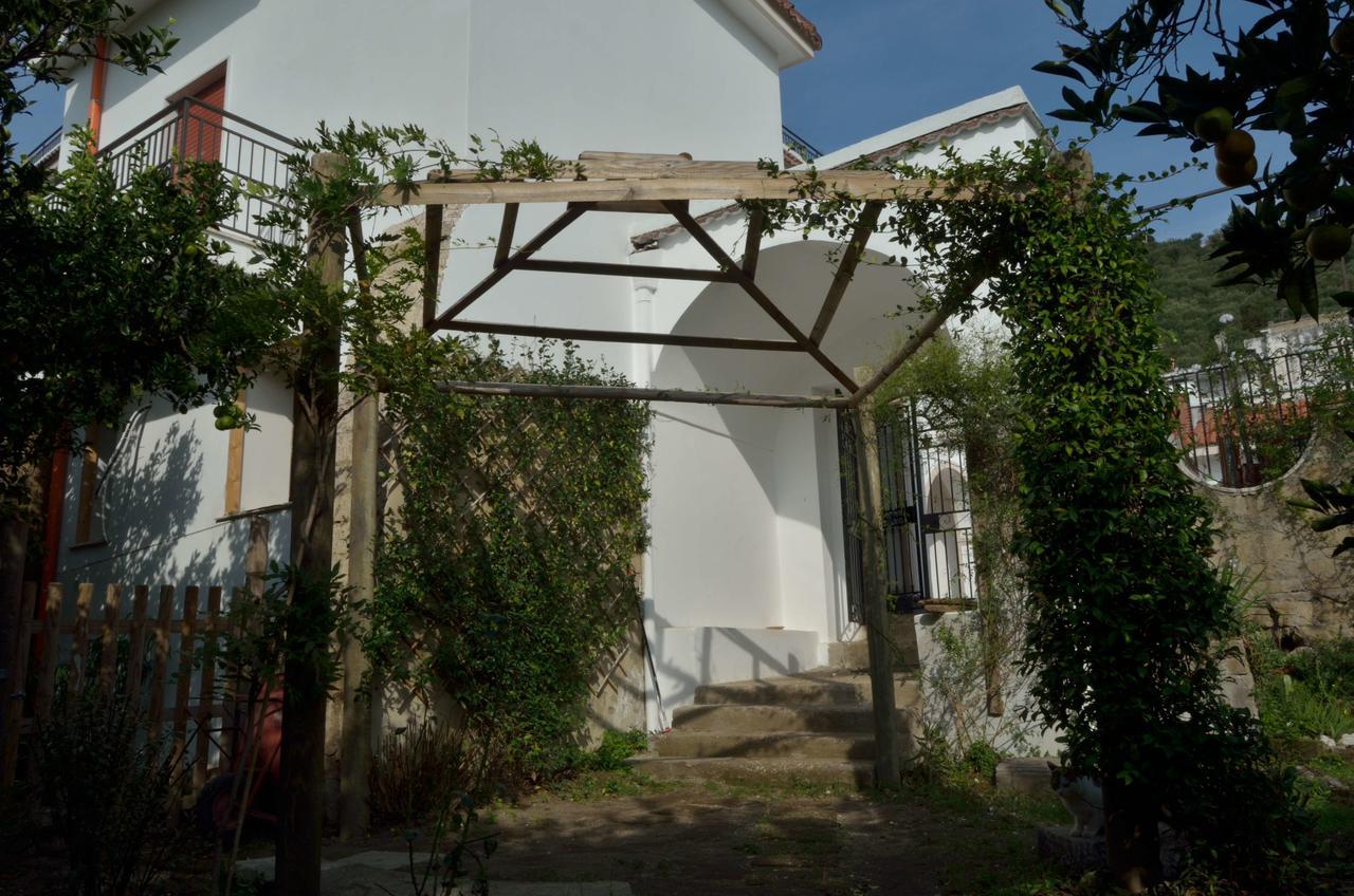Bed and Breakfast Il Giardino Del Sole Roccarainola Exteriér fotografie